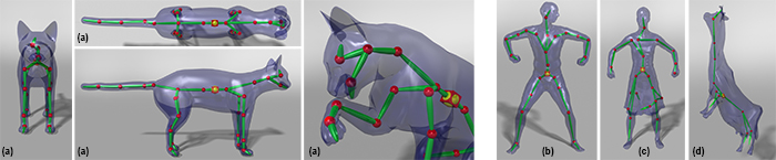 Only using a single set of parameters, our example-based method can accurately rig various models such as quadrupled animals (a), humans (b, c), and highly deformable models (d). Our method can even generate bone structures for challenging parts, such as the mouth and the two ears of the cat (a), the skirt (b), and the elastic cow model (d). Our method is robust: using only 9 frames, it can generate a skeleton with 28 bones for the cat model (a); note that even though the given example poses of the cat model have asymmetric poses, it still can generate an almost symmetric skeleton without imposing any symmetry constraints.