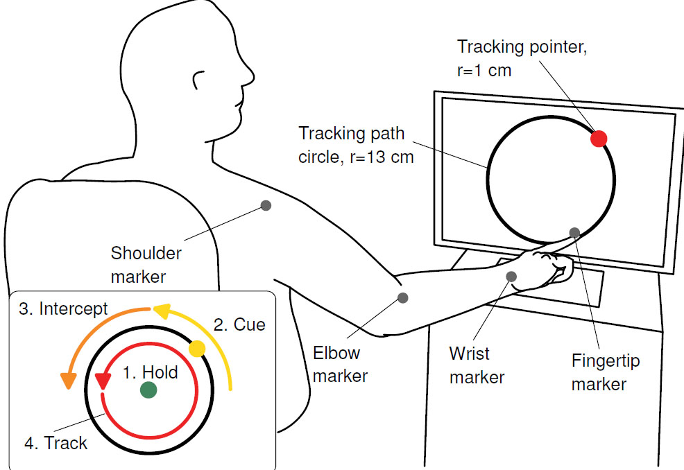 Arm Movement